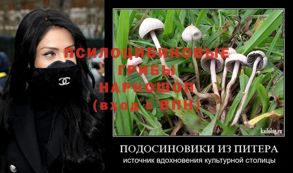 spice Аркадак