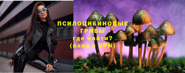 spice Аркадак