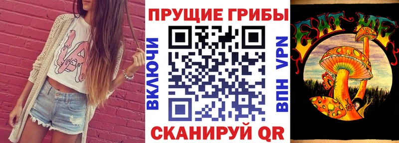 Псилоцибиновые грибы Psilocybe  Сарапул 
